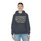 RealSpillClothingCompany© "The Government" Hoodie