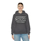RealSpillClothingCompany© "The Government" Hoodie