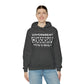 RealSpillClothingCompany© "The Government" Hoodie