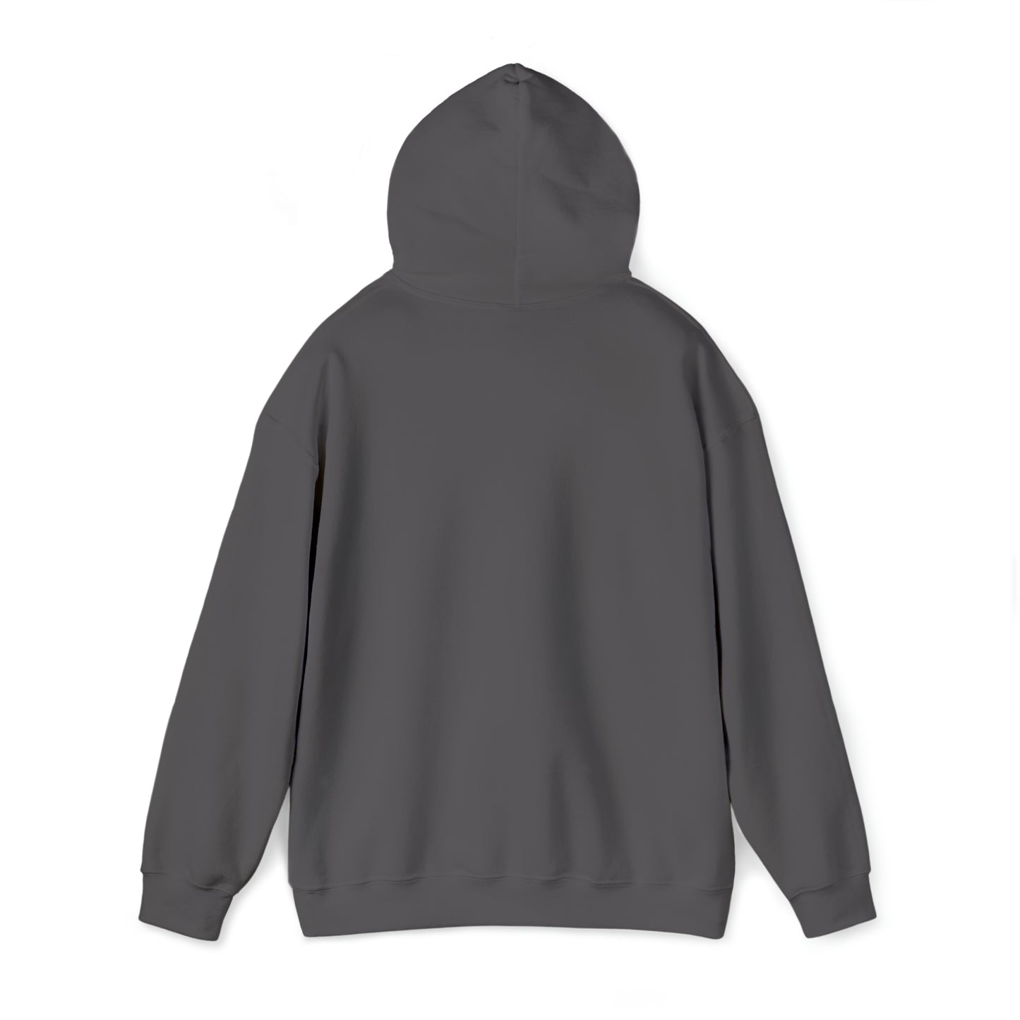 RealSpillClothingCompany© "The Government" Hoodie