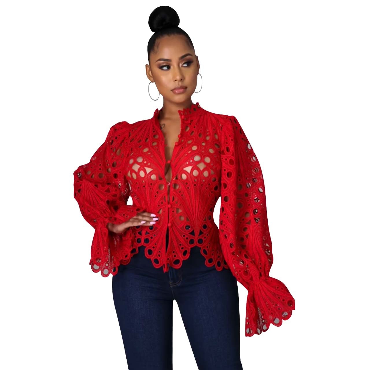 Women's Elegant Mesh Lace Long Sleeve Blouse - Sheer Hollow Out Top